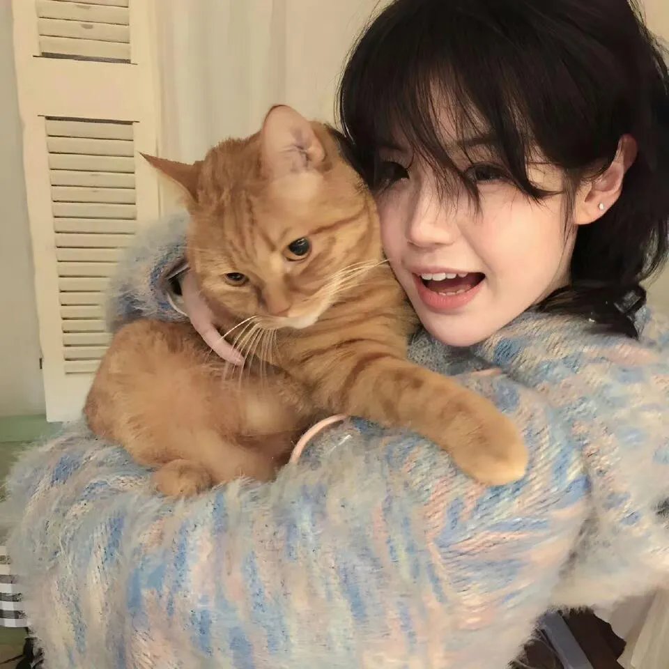 美杜莎毒液